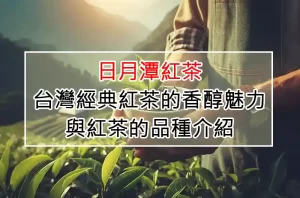 日月潭紅茶：台灣經典紅茶的香醇魅力與紅茶的品種介紹