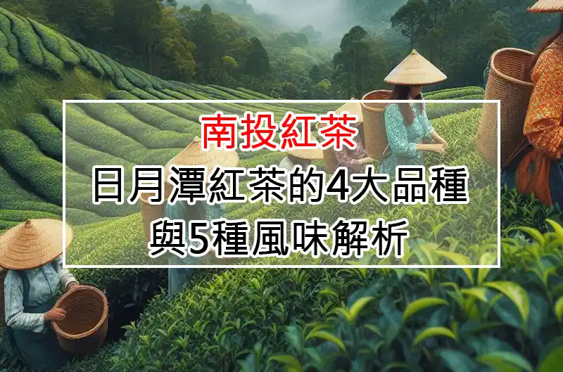 南投紅茶：日月潭紅茶的4大品種與5種風味解析