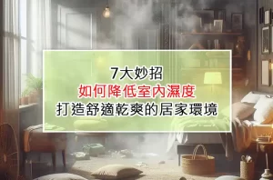 7大妙招：如何降低室內濕度，打造舒適乾爽的居家環境